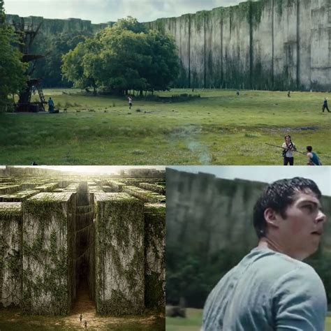 The Glade Maze Runner 1
