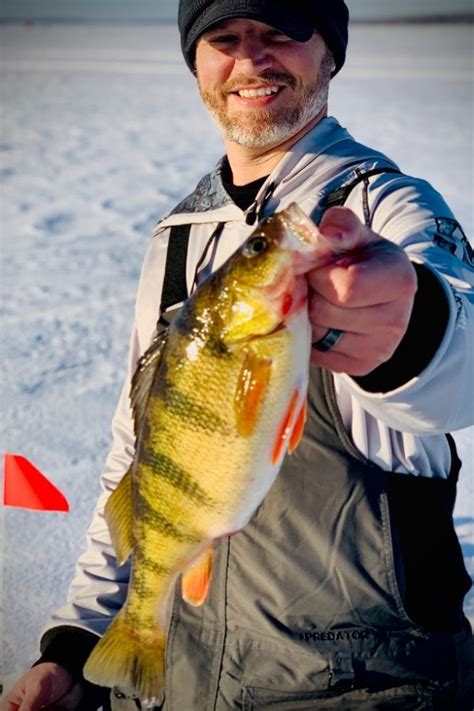 Smashing Jumbo Perch Ice Fishing The Sportsman S Journal