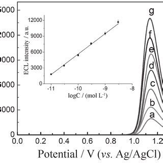 ECL Intensity Potential Profiles Of The Biosensor After Interaction