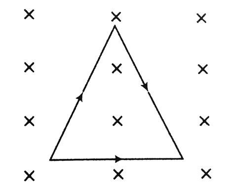 Find Net Force On The Equilateral Loop Of Side M Carrying A Current Of