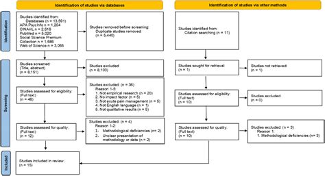 Testing A Model For Personcentred Pain Management A Systematic Review