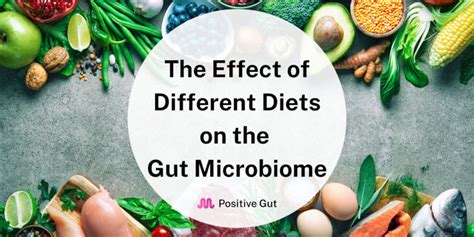 The Effect of Different Diets on The Gut Microbiome - Positive Gut