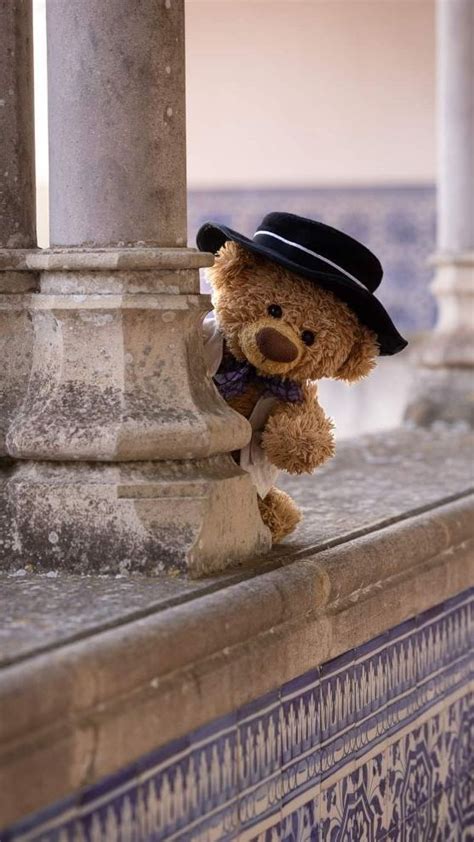 Petit Ourson D Amour Travelling Teddy Peluches Tomar Te