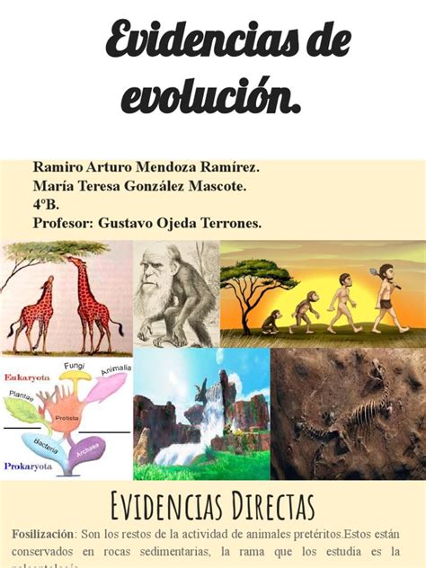 Evidencias de La Evolución | PDF | Evolución | Fósil