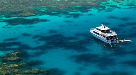 Poseidon Reef Cruises Great Barrier Reef Tours