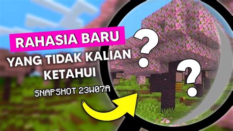 Rahasia Di Bioma Baru Yang Tidak Kalian Ketahui Di Minecraft