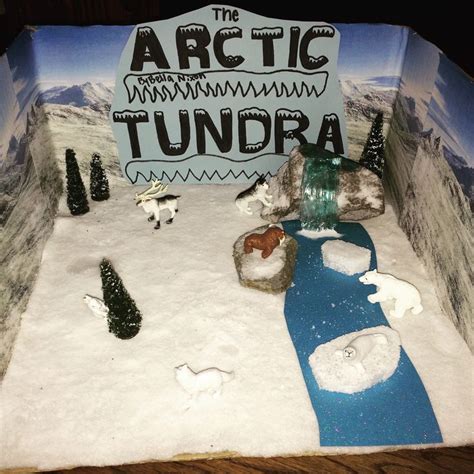 Arctic Tundra Diorama Maquetas Maquetas Escolares Proyectos