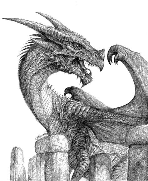 Free 21 Realistic Dragon Drawings In Ai