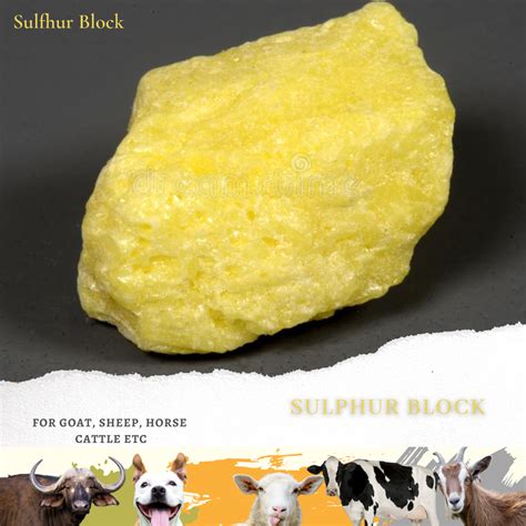 Premium Sulphur Block Packaging Size Kg At Rs Kg In Lucknow Id