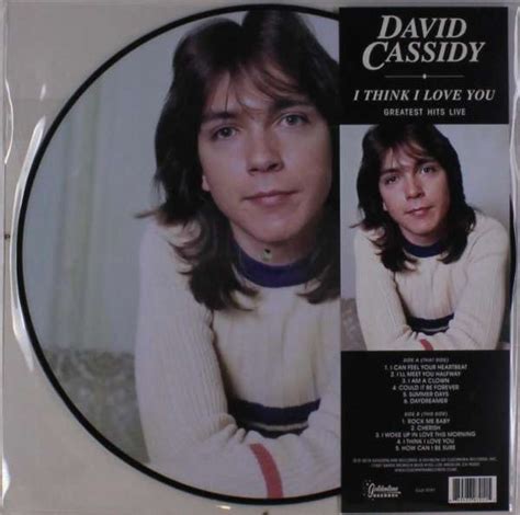 David Cassidy I Think I Love You Greatest Hits Live Picture Disc Lp Jpc