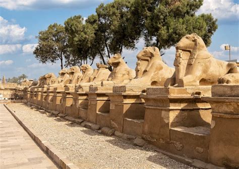 Avenue Of The Sphinxes From The First Pylon Of The Karnak Temple In