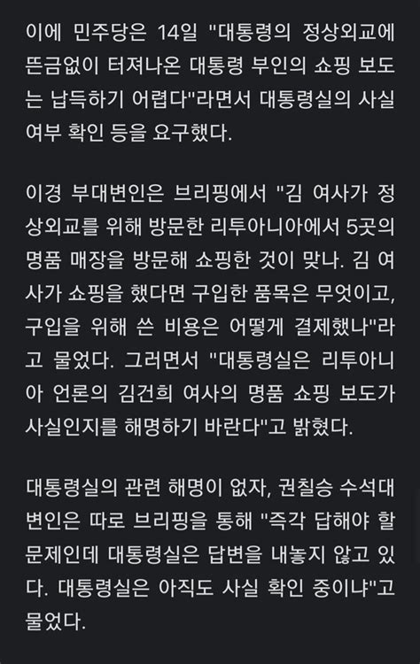 민주당 대통령실 김건희 여사 명품쇼핑 보도 해명하라 오픈이슈갤러리 인벤