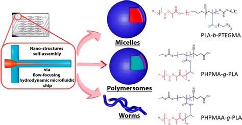 Microfluidic Controlled Self Assembly Of Polylactide Pla Based Linear