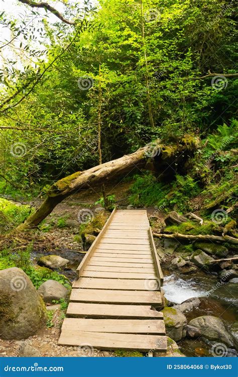 Wooden Bridge Over A Mountain River Summer Landscape In The Mountain