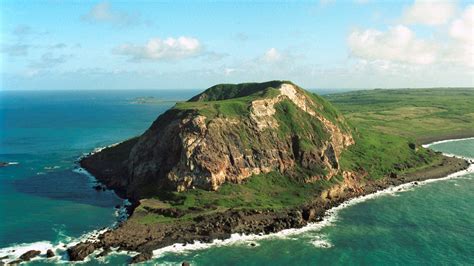 Bodies of Japanese Casualties Discovered on Iwo Jima. - Warfare History ...