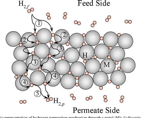 Pdf Microkinetics Of Hydrogen Permeation Through Dense Solid And