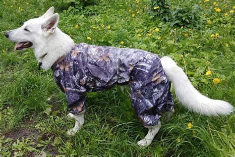 Одежда для собак, комбинезоны для любых пород