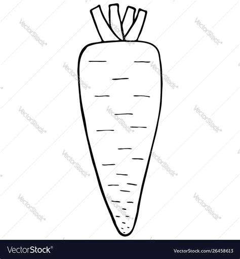 Outline vegetable carrot Royalty Free Vector Image