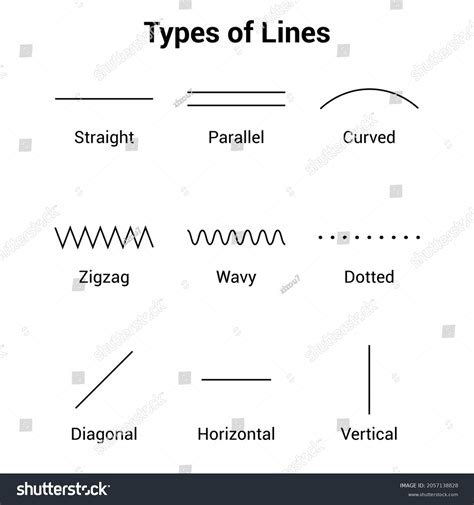 Tipos De L Neas En Geometr A Vector De Stock Libre De Regal As