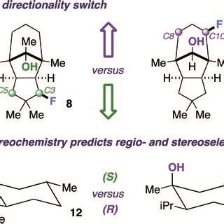 Examples of hydroxy group stereochemical switches | Download Scientific ...