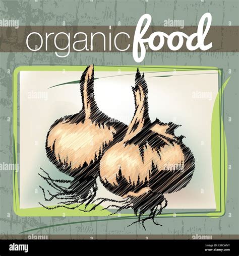 Organic Food Illustration Stock Vector Image Art Alamy