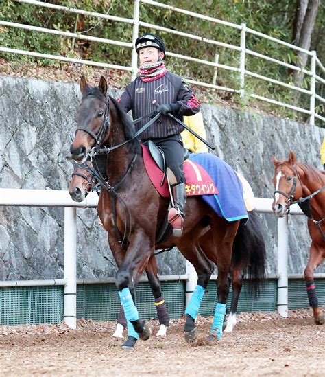 【注目馬動向】新潟2歳s覇者キタウイングはフェアリーsを視野に 阪神jfは14着に終わる Umatoku 馬トク