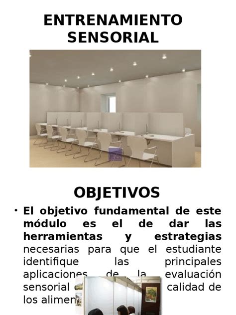 PDF Entrenamiento Sensorial DOKUMEN TIPS