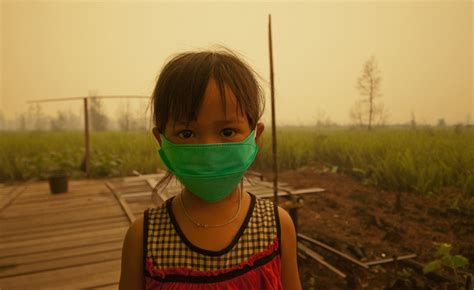 failure  address climate crisis puts children  risk david suzuki
