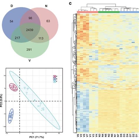 Quantitative Proteomic Analysis A Venn Diagram Shows The Shared And Download Scientific