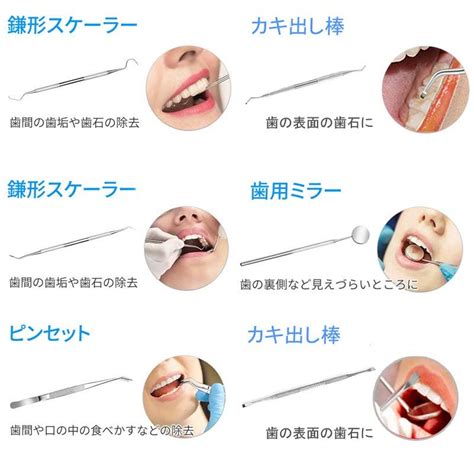 【楽天市場】歯石取り 歯石とり プロ用 歯石取 除去 歯石を自分で取る オーラルケア デンタルケア 在宅 自宅用 器具 スケーラー 歯石 歯