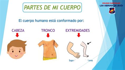 Ciencia Y Tecnolog A A Os Partes De Mi Cuerpo Youtube