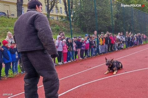 Wsp Lne Szkolenia Przewodnik W Ps W S U Bowych Z Polski I Czech