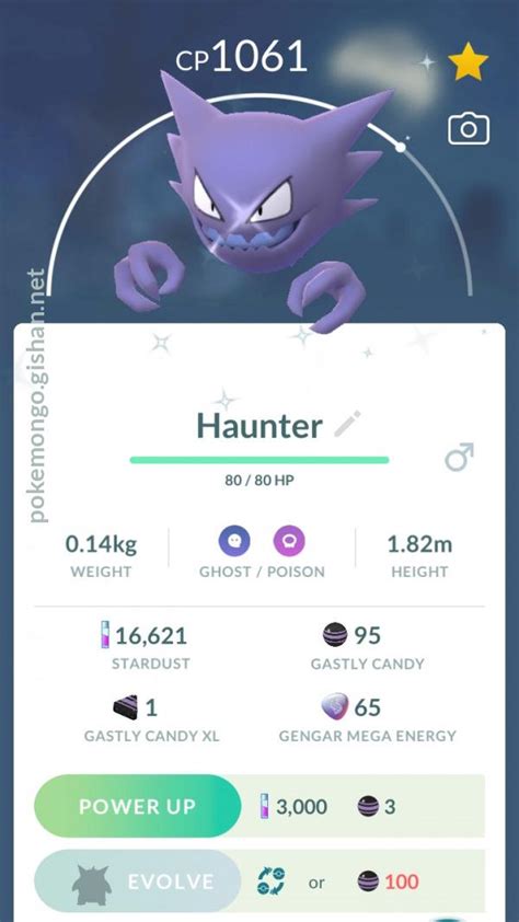 Shiny Haunter