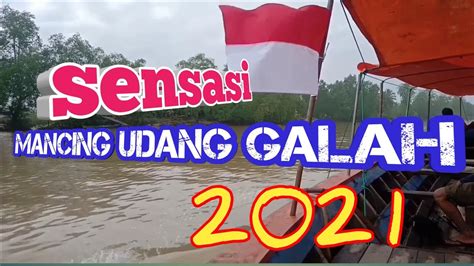 Sensasi Mancing Udang Galah Di Sungai Srimenanti Youtube