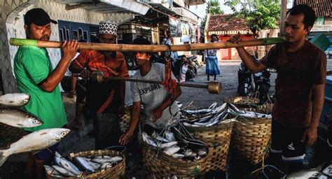 Lapangan Pekerjaan Pertanian Kehutanan Dan Perikanan Menyerap Tenaga