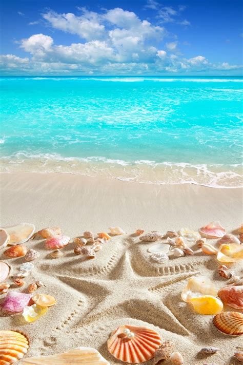 Hình Nền Những Bãi Biển Đẹp Dành Cho Điện Thoại | Beach wallpaper ...