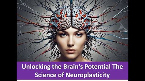 Unlocking The Brain S Potential The Science Of Neuroplasticity Youtube