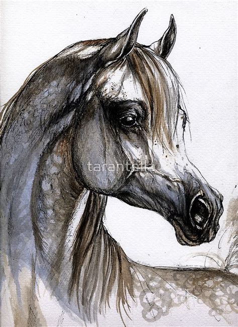 375 best images about Arabian Horses in Art on Pinterest