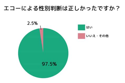 赤ちゃんの性別はいつわかる？性別判断方法やジンクスをご紹介！ ママびよりウェブ