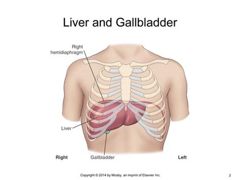 Unit Biliary Tract Upper Gi Flashcards Quizlet