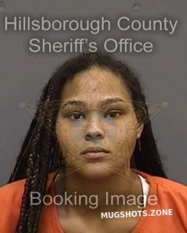 BRUTUS BRIANNA 09 08 2022 Hillsborough County Mugshots Zone