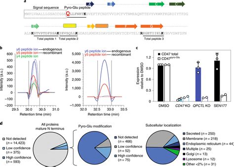 Direct Detection Of Cd47pyro Glu By Ms A Schematic Of The Secondary Download Scientific