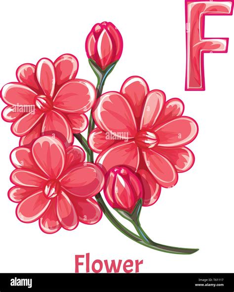 Flower Alphabet Illustration Hi Res Stock Photography And Images Alamy