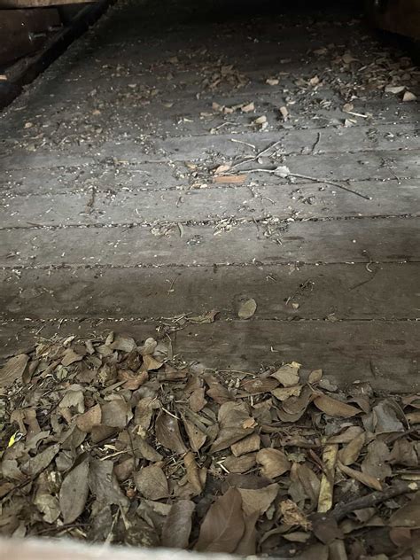 Eco-Friendly Insulation Upgrade for Family Home - Insulation Guru Brisbane