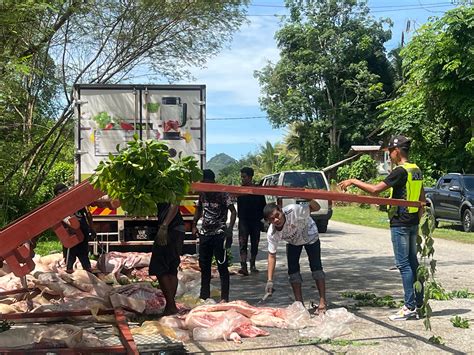 Daging Babi Sejuk Beku Bergelimpangan Atas Jalan Raya CariDotMy