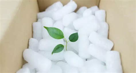 Compostable Packaging: An Essential Guide | Blog