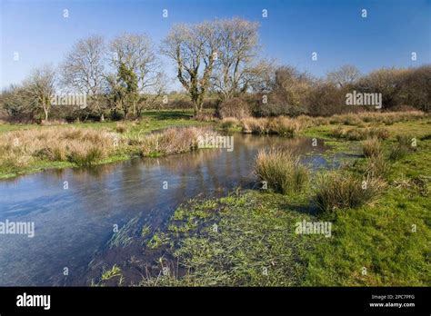 chalk stream flowing  floodplain habitat river piddle piddle