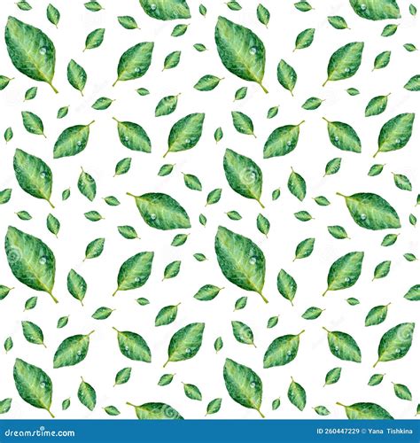 Green Leaf With Drop A Seamless Pattern Stock Illustration