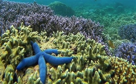 Circuit dans les îles Gili Asahan Gede Rengit Layar Goleng