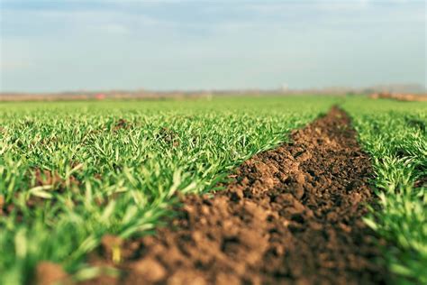 soil agriculture dictionary